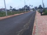 Bán 1 Số Lô Đất Tại Khu Dân Cư Tân Lập - Hiện Tại Chỉ Còn 5 Lô ( Cơ Hội Cho Các Nhà Đầu Tư)