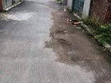 .bán Đất 77,5M2 Viện Rau A Trâu Qùy , Gia Lâm , Hn