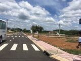 Cần Bán Lô Đất Nền Dự Án Gần Trung Tâm Hành Chính, Khu công nghiệp Becamex ,Giá 625 Triệu