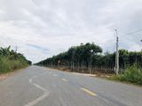 Bán Gấp Đất Bình Dương 1000M2 Chính Chủ Để Về Quê.