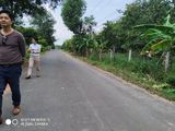 Bán Đất Đối Diện Cty Đôngin Sau Ubnd Xã Long Tân -Đất Đỏ