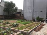 Bán Đất Giá Rẻ Cho Công Nhân, Có Hỗ Trợ Trả Góp
