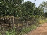 Cần Bán 2300M2 Cách Mt 101 Nam Lộ Chỉ 400M Xã La Ngà,định Quán Đồng Nai
