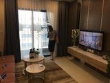 Chủ Nhà Cần Bán Gấp Suất Ngoại Giao Căn Hộ 60M2 Pcc1 Triều Khúc, Hướng Đông Bắc, View Mặt Đường Triều Khúc