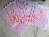 Bán Đất Gấp 18000M2 63 Tỷ Đã Tách Sổ 500M2 Thổ Cư 300M2/sổ Tôn Thất Tùng, Vạn Hạnh, Phú Mỹ, Br-Vt