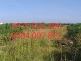 Bán Đất Gấp 18000M2 63 Tỷ Đã Tách Sổ 500M2 Thổ Cư 300M2/sổ Tôn Thất Tùng, Vạn Hạnh, Phú Mỹ, Br-Vt