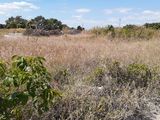 Cần Bán 1.5Ha Đất Nông Nghiệp Tại Bắc Bình - Bình Thuận