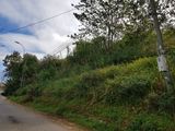 Bán Đất 2 Hầm View Cực Đẹp Mặt Tiền Đống Đa, Tp Đà Lạt, Giá 38Tr/m2