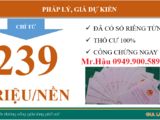 Khu Đô Thị 30 Hecta Giữ Lòng Phố Núi Gia Lai New City- 239 Triệu/nền