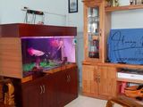 Bán Gấp Căn Nhà Cấp 4 Dt 113M2 Tại Phường Hố Nai Gần Nhà Thờ Lộc Lâm Giá Chỉ 1.6 Tỷ