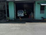 Bán Lô Đất Ngang 6.6M Dt 198M2 Mặt Tiền Đường Bình Hoà – Cây Dương Giá Chỉ 2.5 Tỷ