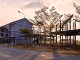 Đất Mặt Tiền Lạc Long Quân Ngay Trung Tâm Tp Vị Thanh Giá 850 Triệu. Lh: 0931.34.31.32