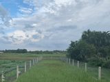 Duy Nhất 1 Nền 300M2 Mặt Tiền Nguyễn Thị Rành, Củ Chi