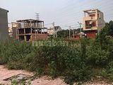 Đất Thuận An Giá Đầu Tư