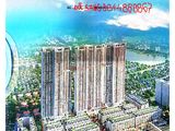 Căn Hộ Vip Cao Cấp 04 Ngủ, 2 Wc