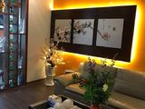 Trần Hòa, Định Công, Hoàng Mai, Ô Tô Vào Nhà, Chỉ 2,6 Tỷ
