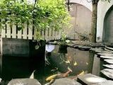 Đất Thuộc Khu Dân Cư Hiện Hữu, Cơ Sỡ Hạ Tuần Hoàn Thiện, Có Sổ Riêng Chính Chủ, Pháp Lý Rõ Ràng.