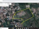 Bán Đất Khu Vực Gần Cầu Khánh Vân, Tân Uyên, Bình Dương, Diện Tích 5Ha, 1,75 Triệu/m2