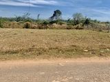 Bán Đất Gần Trường Thcs Phước Thạnh,cách Kcn Phước Đông Chỉ 3Km,shr