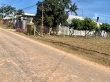 Bán Lô Đất Mặt Tiền Đường Nhựa Rộng Tới 10M,ngay Trường Phước Thạnh,gò Dầu,tây Ninh,sổ Hồng Riêng.