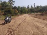 Cần Bán Vườn Sổ Hồng Riêng , Bao Sang Tên Ở Hưng Lộc, Thống Nhất, Đồng Nai