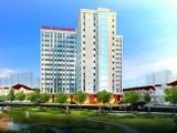Cần Ra Đi Căn Hộ Chung Cư Phúc Đạt Connect