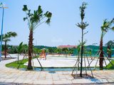 Ra Nhanh 1 Lô 100M2 Chính Chủ Trung Tâm La Hà