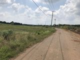Đầu Xuân Năm Mới 2020 Cần Bán Nhanh 1 Mẫu Đất 15203M2 Tại Trung Hòa - Trảng Bom. Tặng 1 Xe Sh150I