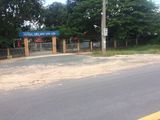Cần Bán Đất Chính Chủ Giá Rẻ Dầu Tiếng Bình Dương