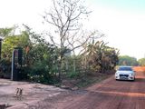 Cần Bán Đất Dầu Tiếng Bình Dương Giá Rẻ 298 Triệu/1000M2, Sổ Hồng Riêng
