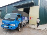 Chính Chủ Cho Thuê Kho Xưởng Tại Khu Vực Hà Nội