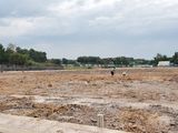Bán Đất Nền Dự Án Huyện Giang Điền, Đồng Nai 800 Triệu
