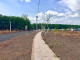 Cần Bán Lô Đất Nền Giá Rẻ Ở Thị Trấn Tân Phú, Huyện Dồng Phú Tỉnh Binh Phước.