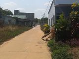 Gia Đình Muốn Bán Gấp Đất Tại Thành Phố Đồng Xoài Để Lấy Tiền Kinh Doanh