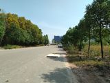 Kinh Doanh Thua Lỗ Bán Lại 300M2 Đất Cạnh Đh Việt Đức Đang Xây