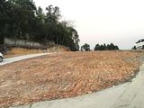 Chính Chủ Bán Ô Góc Ngõ 28 Cao Xanh View Vòng Quay Mặt Trời,giá 800Trieu