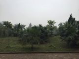 Trần Quang Diệu: 42M2, 5T,mt 5M, Phân Lô, Ô Tô, Sát Vườn Hoa, 5.9 Tỷ, Làm Vp…