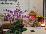 Siêu Hiếm Hà Đông, Ô Tô Vào Nhà, Ở Víp, Kd,vp Cực Đẹp, 65M2, Chỉ 5.8 Tỷ – Liên Hệ: 0375063926