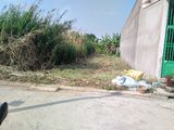 2 Mặt Tiền 200M2 Thổ, Ql91B, Gpxg 1T1L