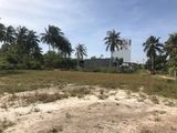 Cần Bán Đất Đường Nguyễn Du Tx. Lagi 57X35( 2000M2 Có Sẵn 400M Thổ Cư ) Giá Bán 7.4 Tỷ Tương Đương 3.7 Tr/m2( Gía Rẻ Nhất Thị Trường Hiện Tại )