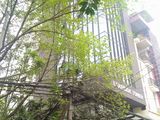 Cho Thuê Văn Phòng Giá Rẻ Gần Trường Đại Học Ngoại Thương