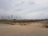 Bán Đất Nền Dự Án Dũng Liệt Green City Yên Phong