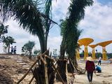 Đất Nền Tt.hành Chính Bàu Bàng, Shr, Giá Từ 639Tr