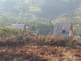 Đất Bán Gấp Xã Đông Thanh, Lâm Hà, Lâm Đồng.