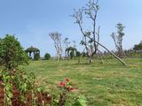 Đất Nền Ven Sông Harbour View Hiệp Phước 5X18M Chỉ 1,4 Tỷ/nền. Lh 0909916089