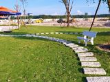Bán Đất Chính Chủ Không Không Qua Cò Giá 800 Triệu Có Sổ Hồng Sẵng