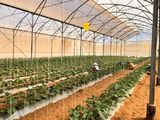 Sỡ Hữu 3000M2 Đát Gần Biển Giá Chỉ 210 Triệu