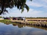 Đất Bình Chánh 75M2 Shr