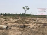Đất Bình Chánh 75M2 Shr