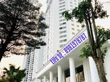 Chỉ 1,5 Tỷ Sở Hữu Căn Hộ Tecco Diamond